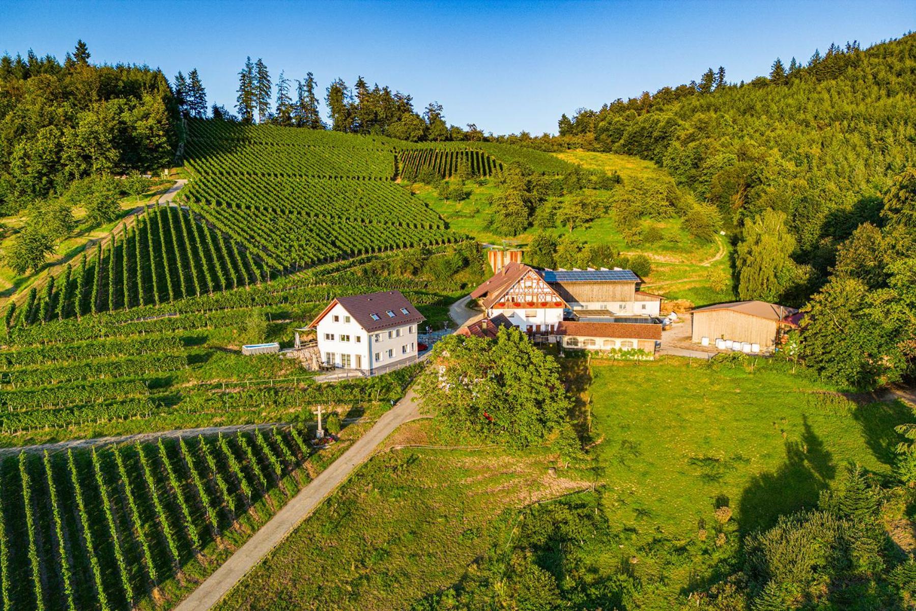 Paradieshof Lautenbach Εξωτερικό φωτογραφία
